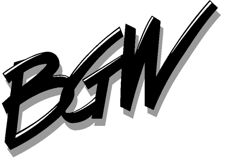 BGW Systems logo