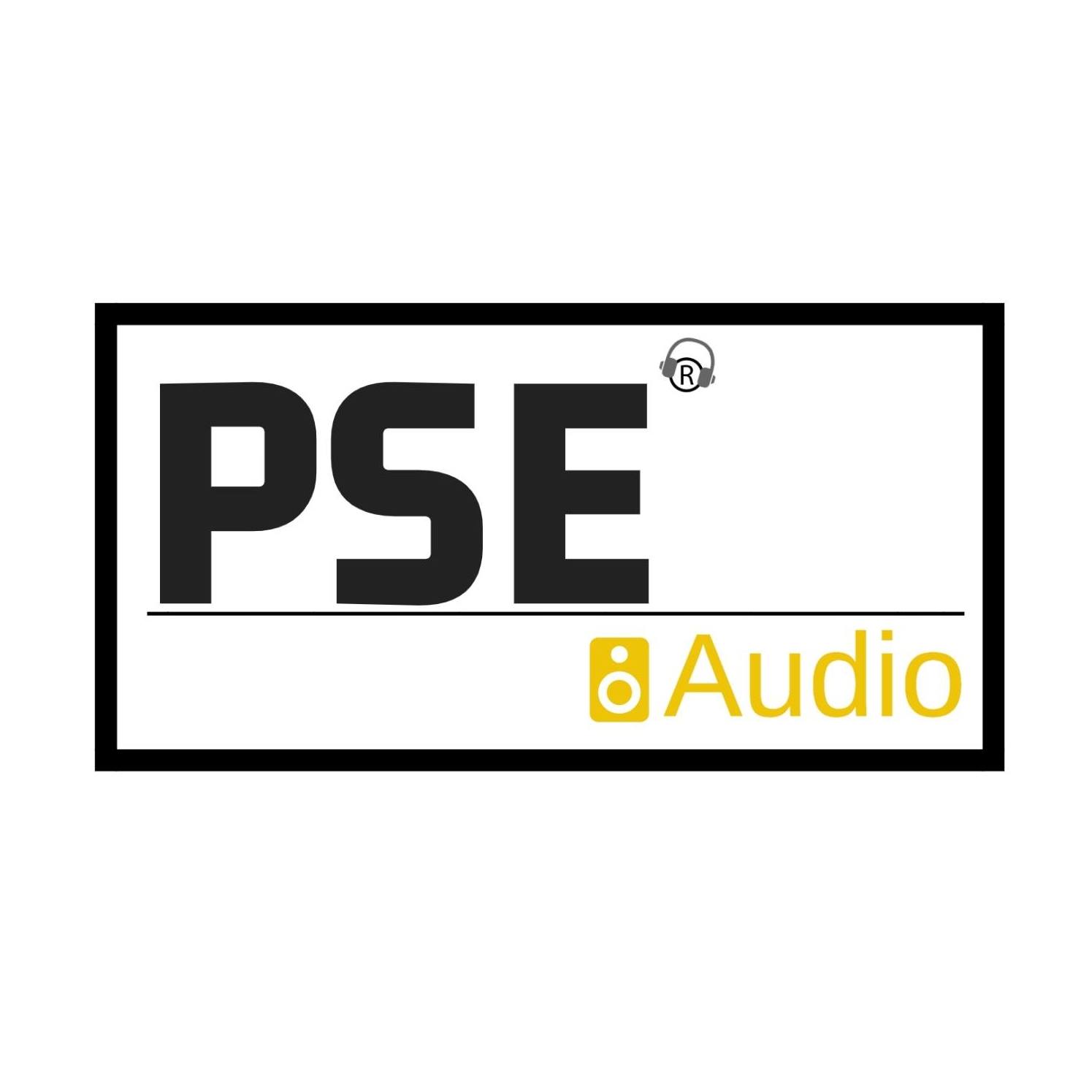 PSE Audio logo